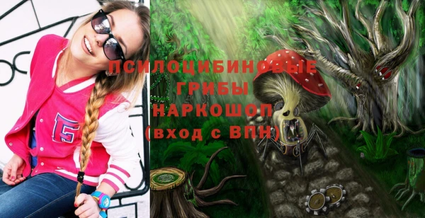 герыч Вяземский