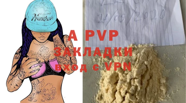 дурь Гусиноозёрск