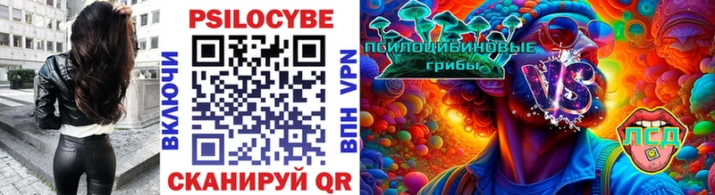 Галлюциногенные грибы GOLDEN TEACHER  купить закладку  blacksprut онион  Дигора 